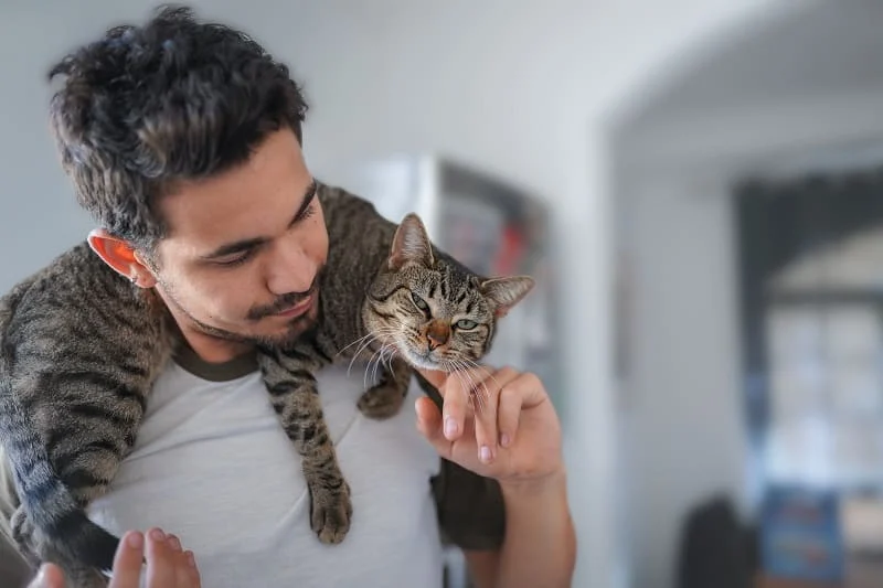 Gagner la confiance d'un chat