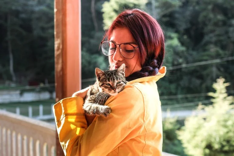 Votre chat préfère-t-il votre compagnie à celle de l'homme de la maison