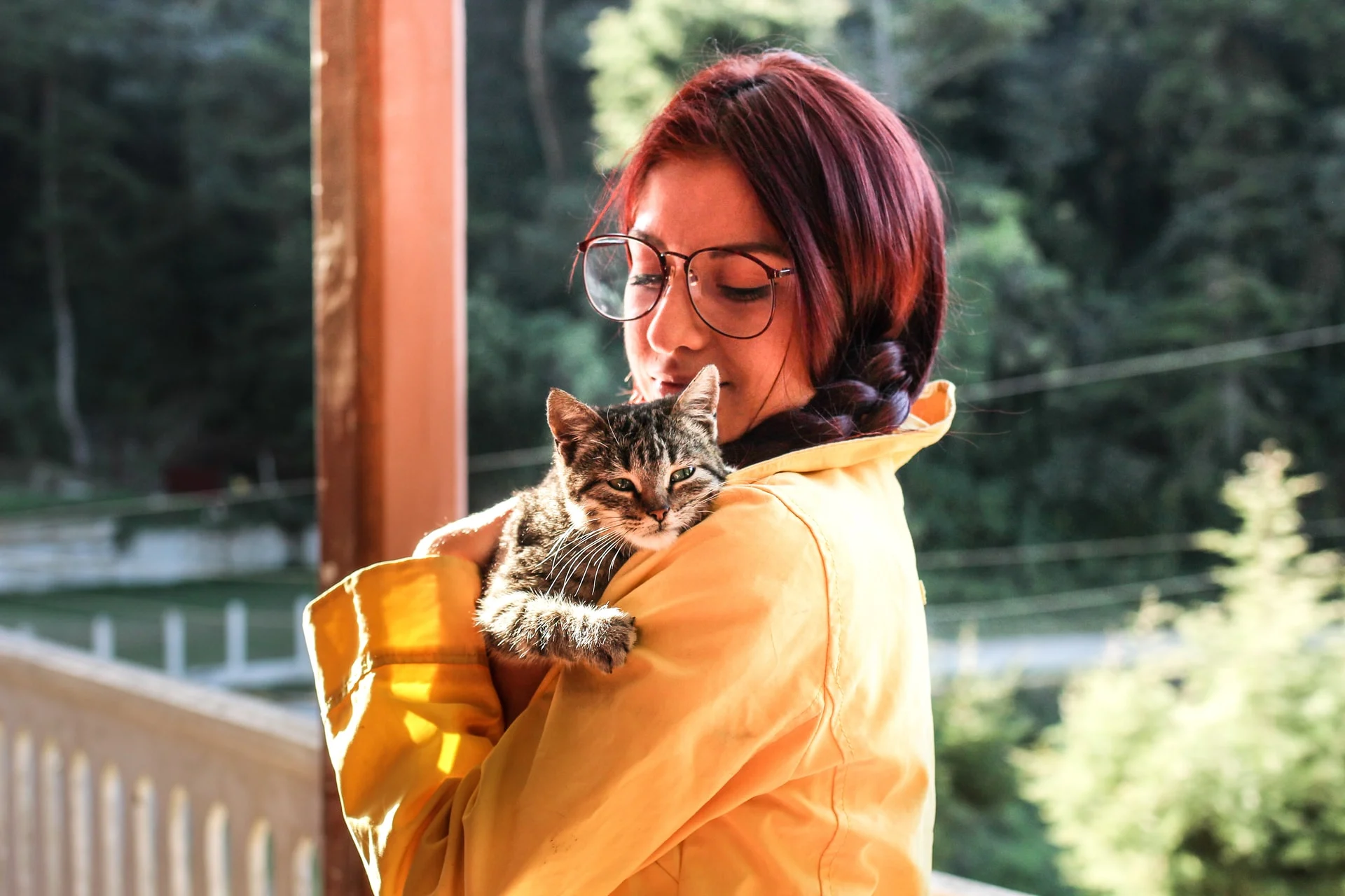 Votre chat préfère-t-il votre compagnie à celle de l'homme de la maison