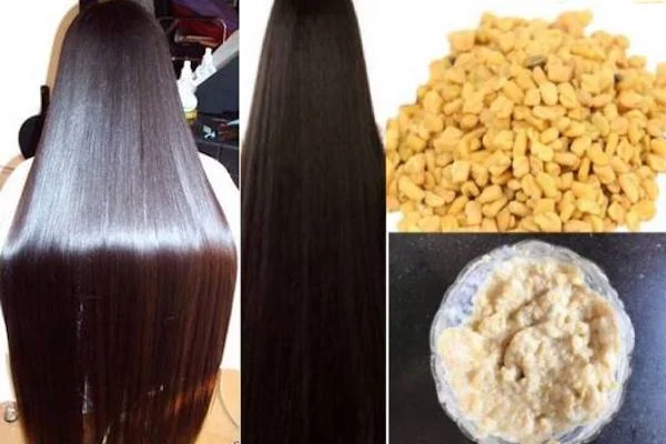 Conseils d'utilisation de la poudre de fenugrec pour les cheveux