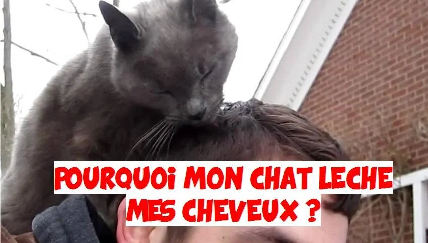 Il tient à montrer qu'il s'intéresse à vous