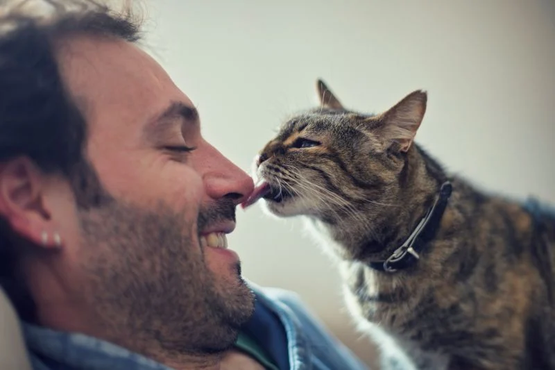 Il cherche à attirer votre attention