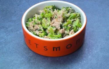 Salade pour chats