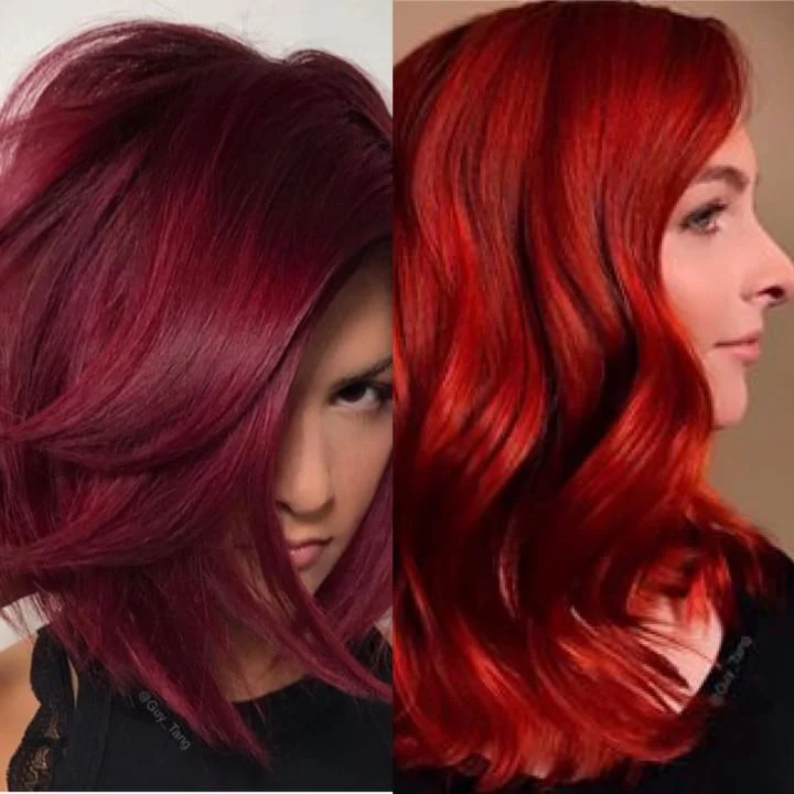 Couleurs de cheveux rouges