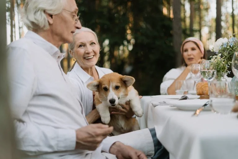 des races de chiens les plus adaptées aux personnes âgées