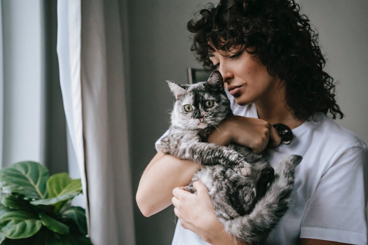 3 Preuves que le chat vous considère comme un parent Il réagit aux comportements affectueux