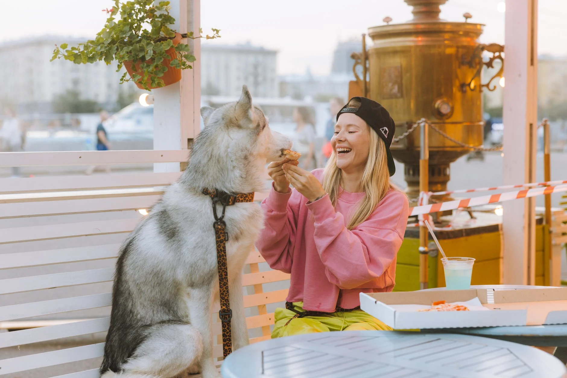 Laisser votre chien goûter de tout