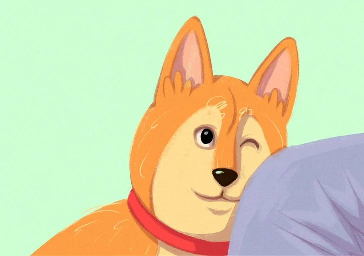 Le chien pose sa tête sur le genou de son maître.