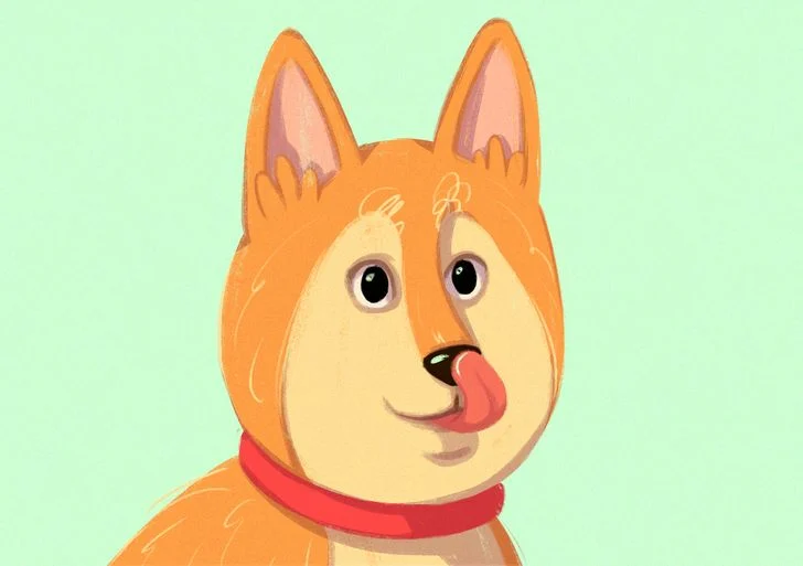 Le chien se lèche le visage.