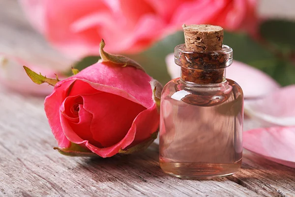 L'eau de rose réduit la sécheresse