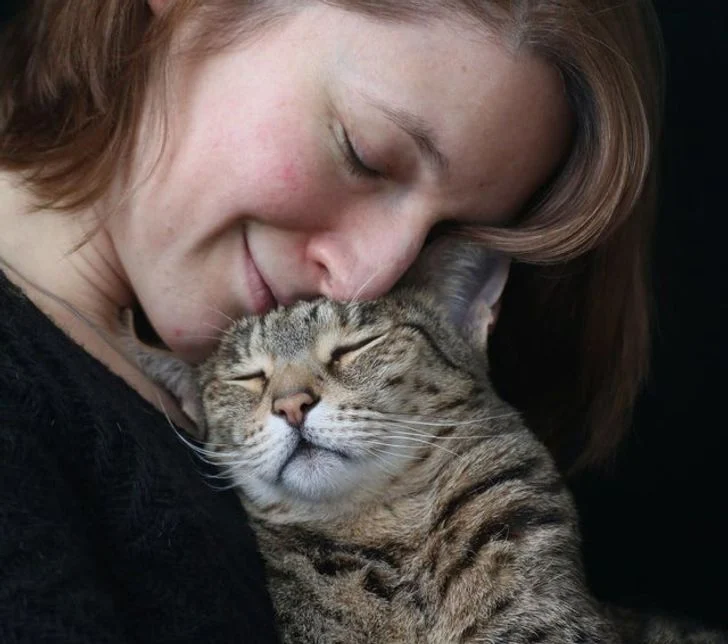 Les chats sont des animaux sociaux
