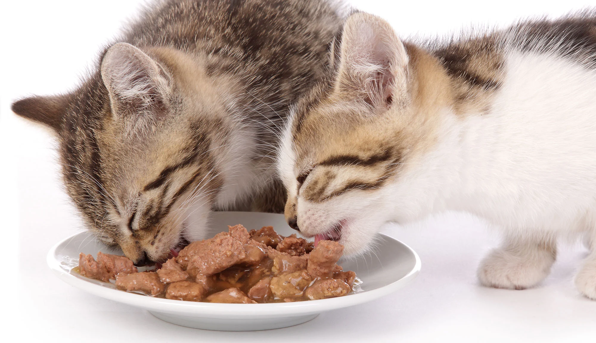 Profil nutritionnel recommandé