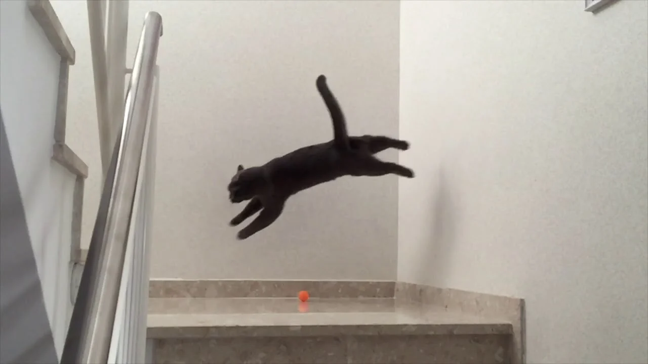Sauter contre les murs