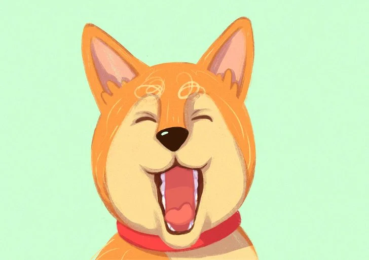 Votre chien bâille.