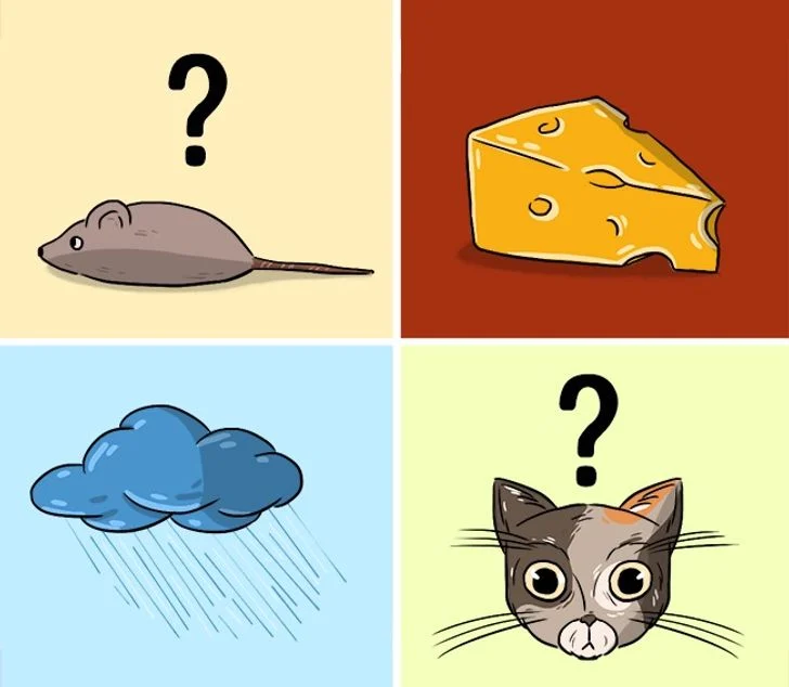 Énigme n°3 - Le chat et la souris
