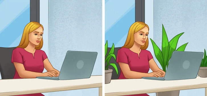 #8. Placez des plantes dans votre bureau