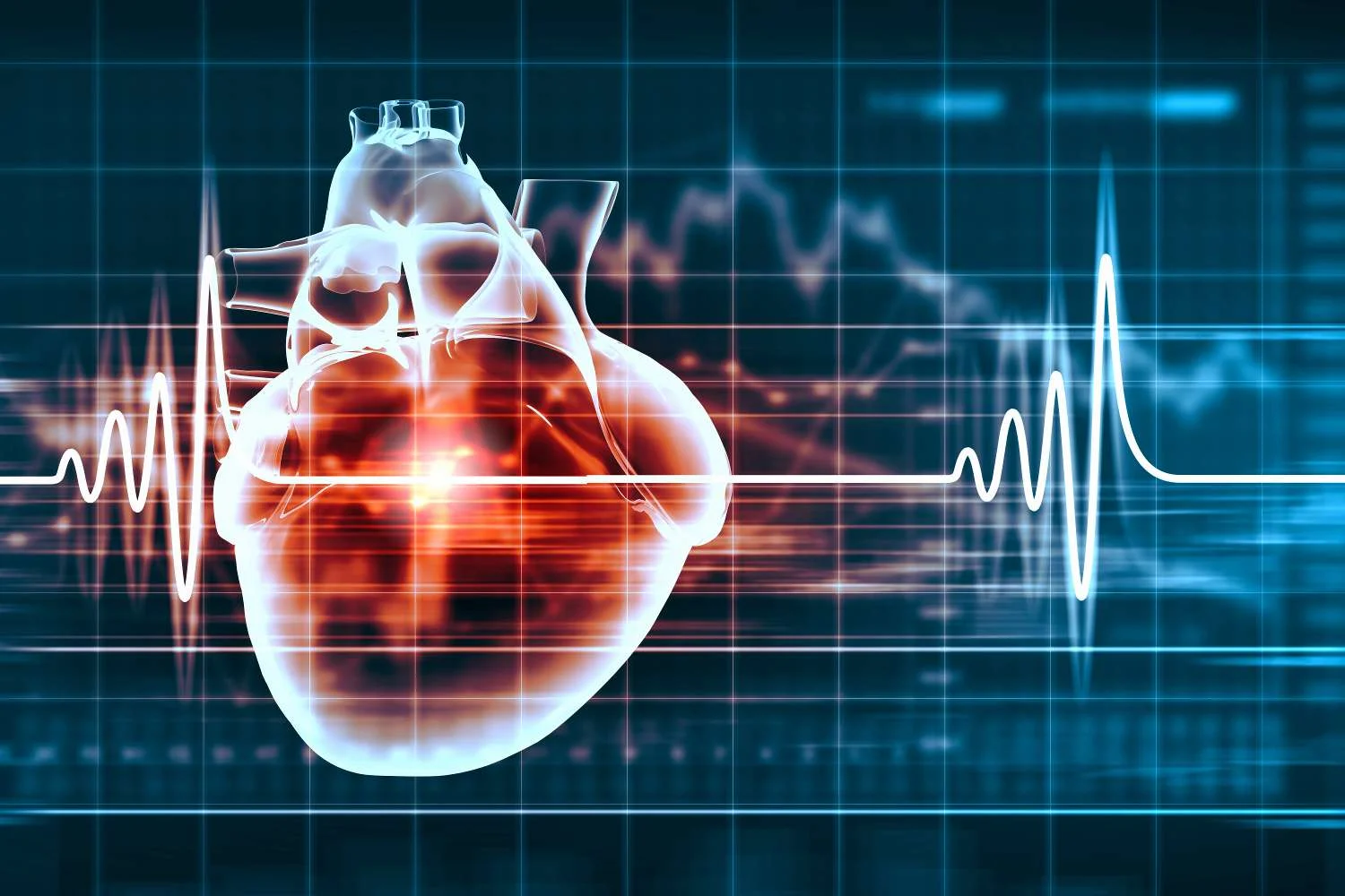 favorise la santé cardiaque