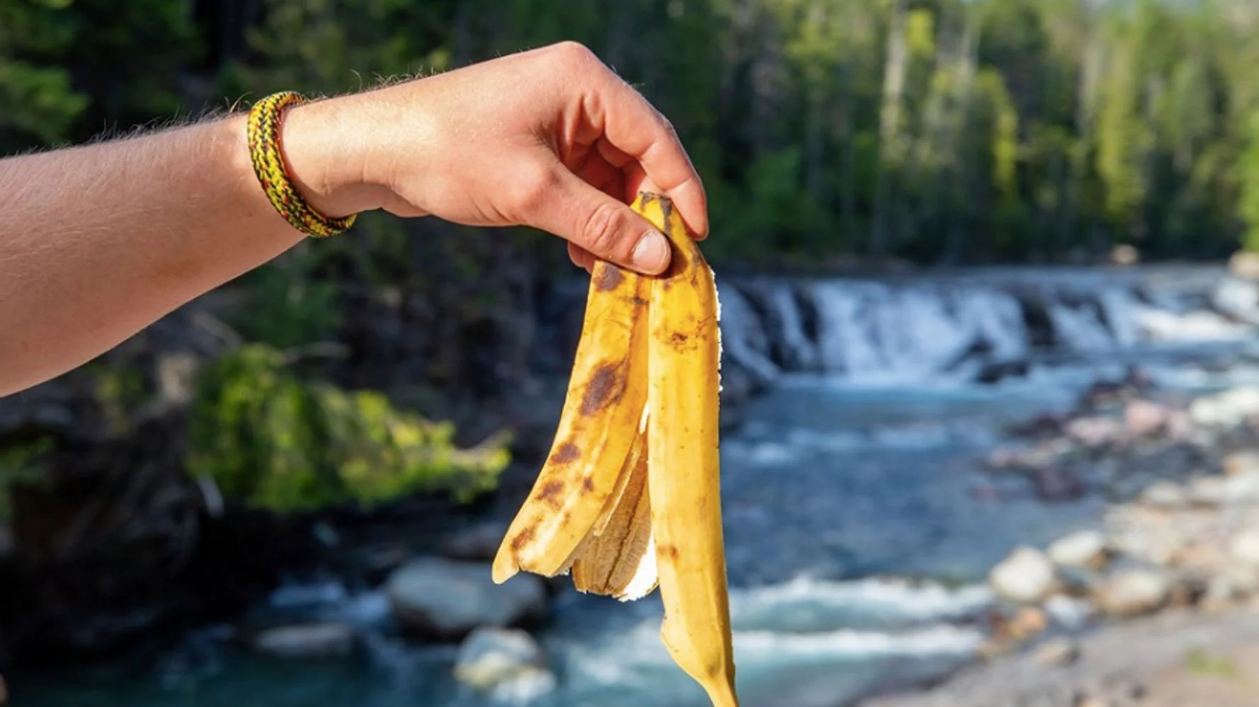 la protection de l'environnement