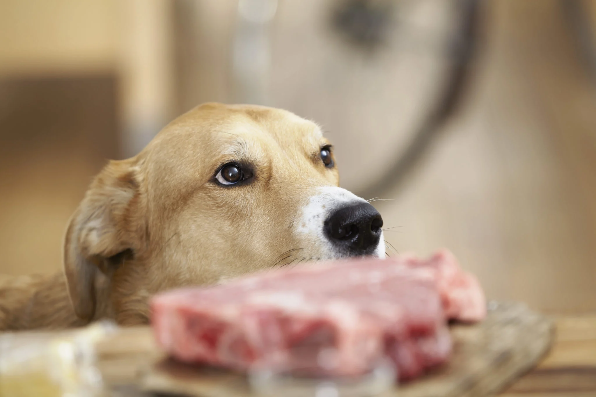 #1 - Viande de bœuf
