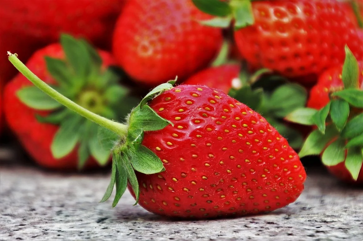 Les tiges et les feuilles des fraises