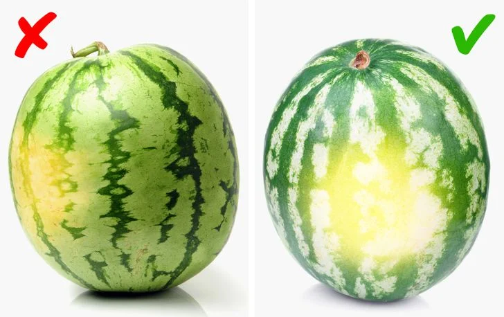 Pastèque