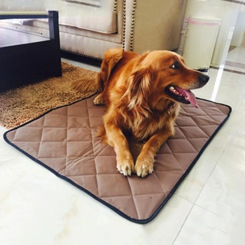 Une compresse de glace, un tapis réfrigérant ou une serviette humide sur lesquels s'allonger