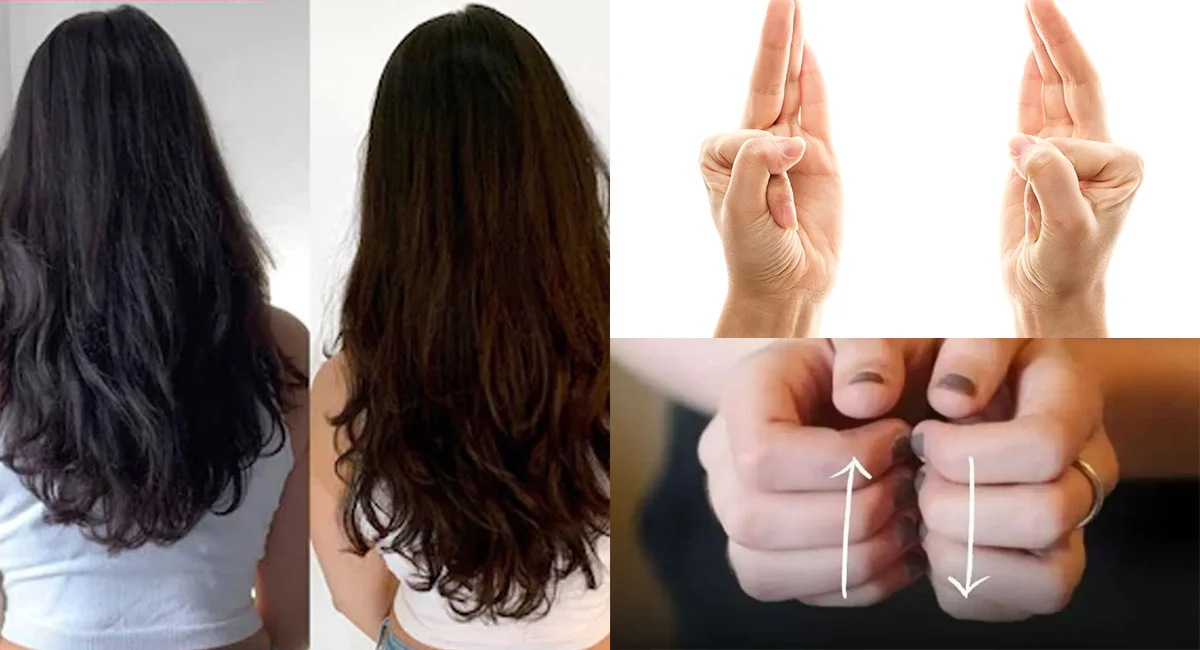 Les mudras sont des gestes de la main Les mudras sont des gestes de la main