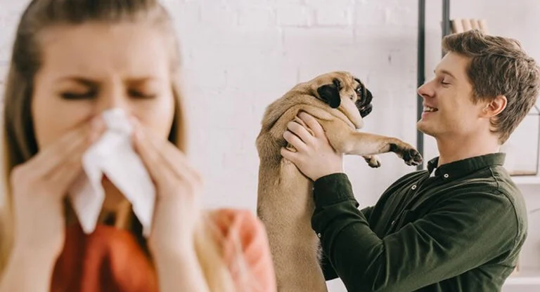 allergies femme chien