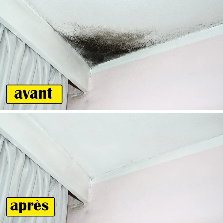 Fabriquez un nettoyant des pelures d'orange pour réduire les moisissures