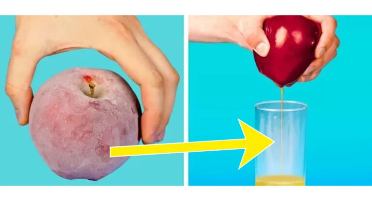 Pressez du jus de pomme avec un minimum de dégâts