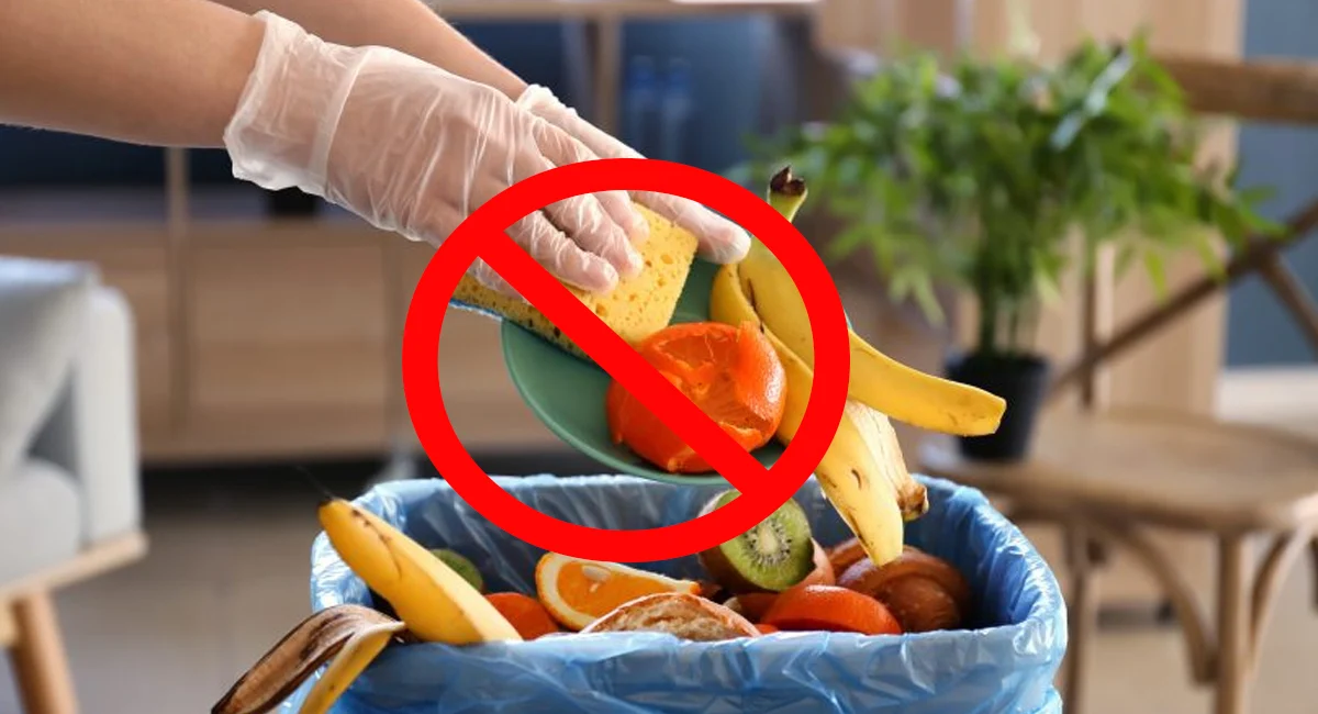 10 conseils pour éviter le gaspillage alimentaire