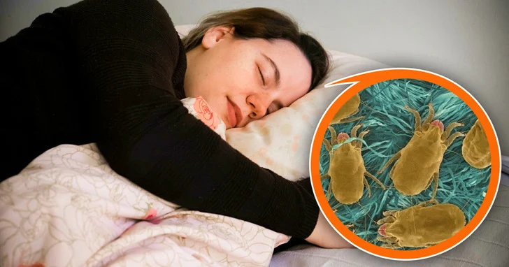 7 choses qui peuvent nous nuire à notre santé