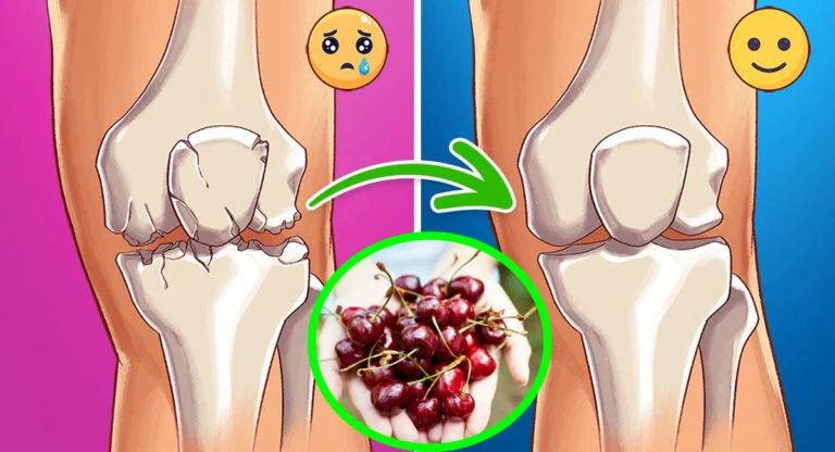 Les raisons et les bienfaits de manger vos fruits préférés