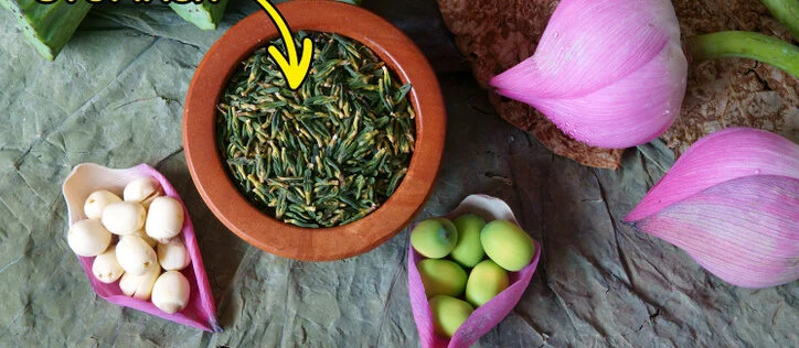 Buvez du thé aux feuilles de lotus