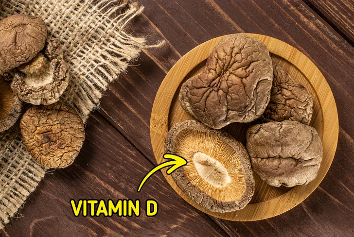 Mangez des champignons