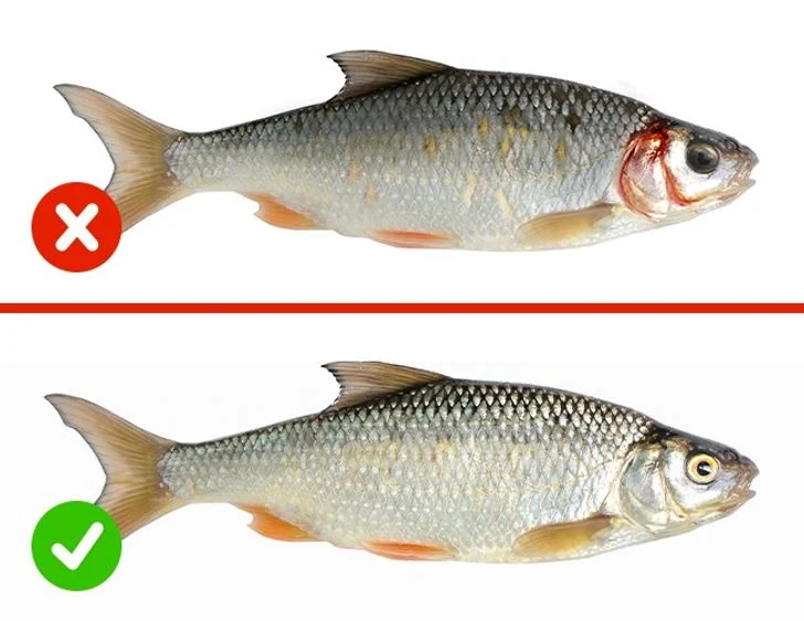 poisson