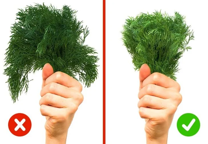 vherbes aromatiques
