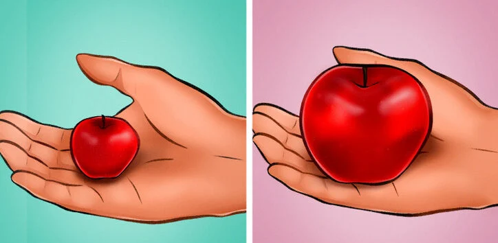 Choisissez des aliments de taille normale