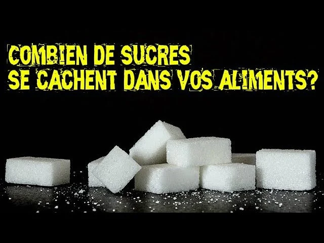 aliments équivalent carrés en sucre