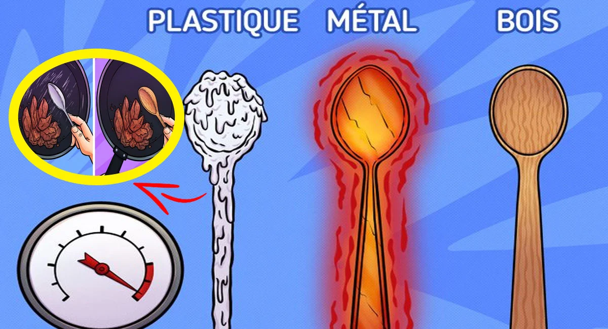 Cuillères en bois cuillères bois vs plastique