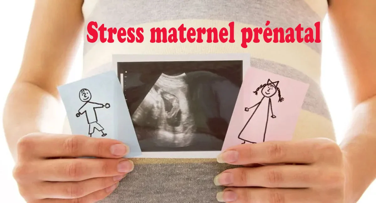 Le stress pendant la grossesse pourrait avoir un impact sur le sexe du bébé, selon une étude Le stress pendant la grossesse