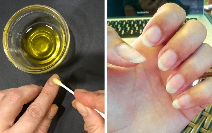 L'huile d'olive