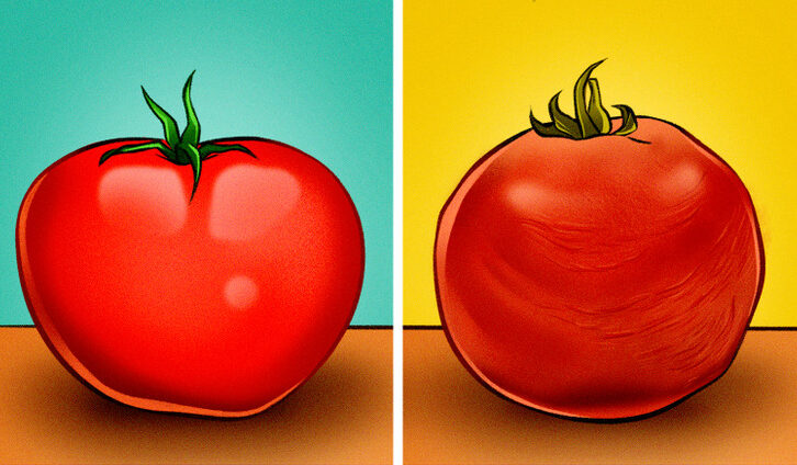 fruits Ne jetez pas vos tomates fripées à la poubelle.