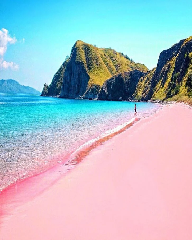 Plage rose, Bonaire