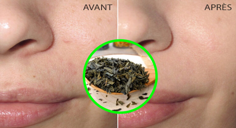 Les bienfaits du thé vert SENCHA
