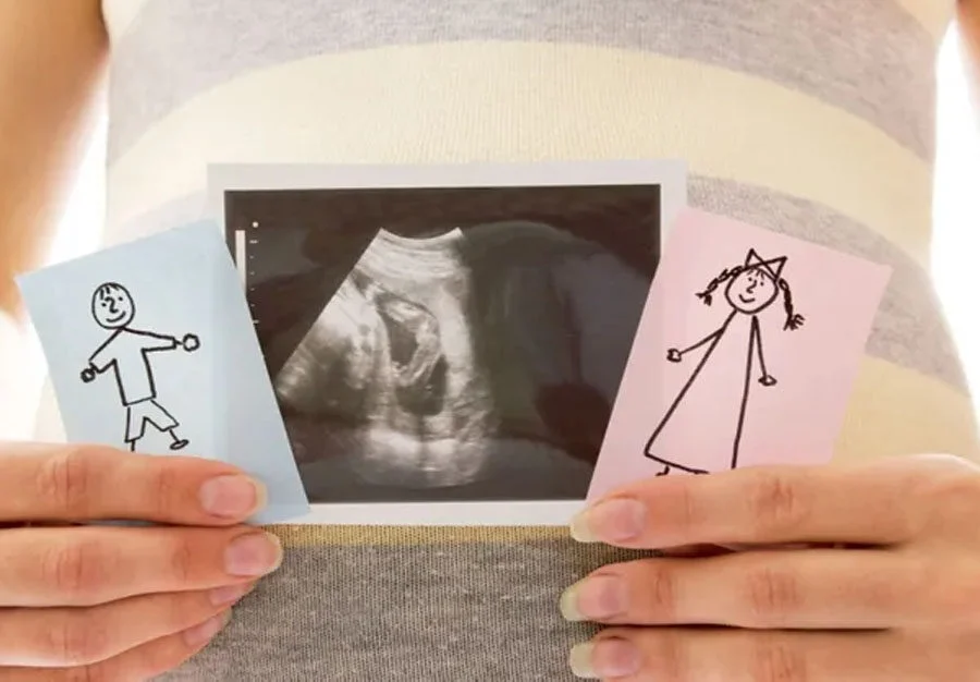 sexe du bébé