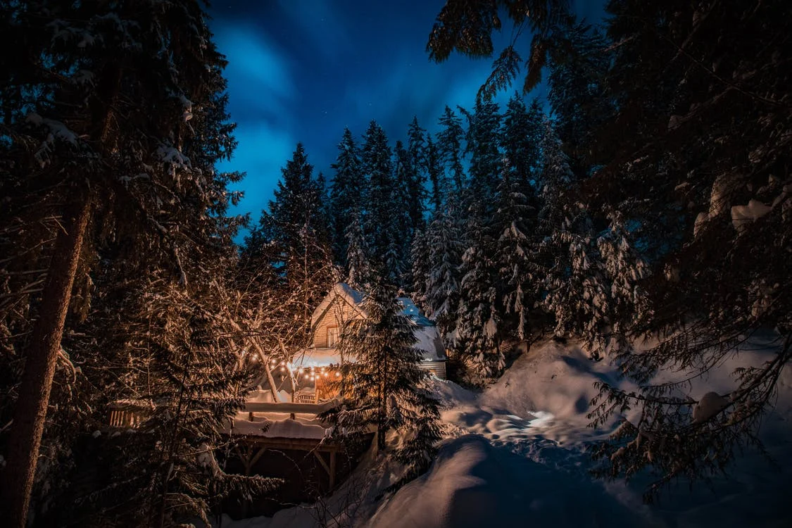 Vous êtes perdu dans la forêt pendant la nuit