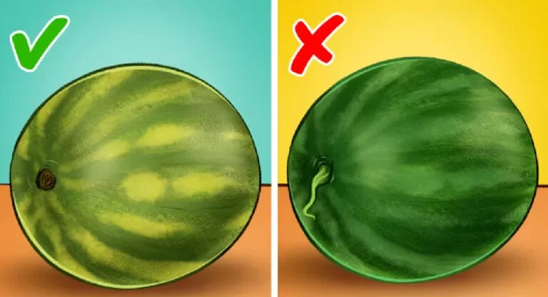 Vous pouvez dire si une pastèque est bonne sans l'ouvrir