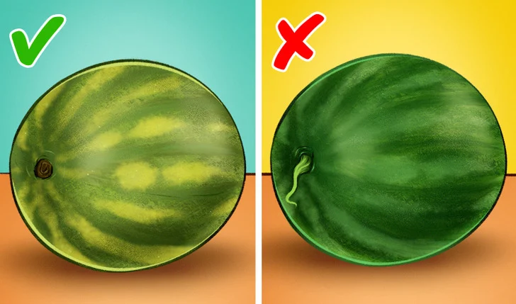 Vous pouvez dire si une pastèque est bonne sans l'ouvrir