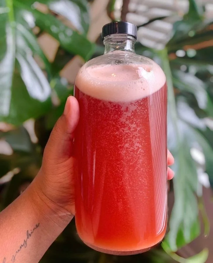 Kombucha